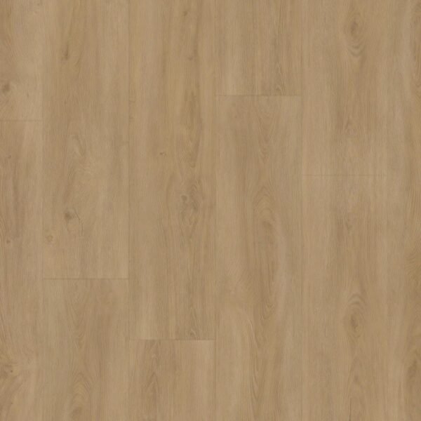 15054 PLANK