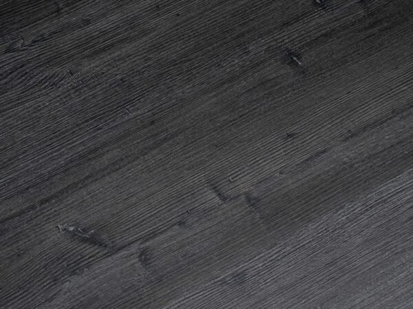 ARGYLL FIR "GLEMMUR" - Image 3