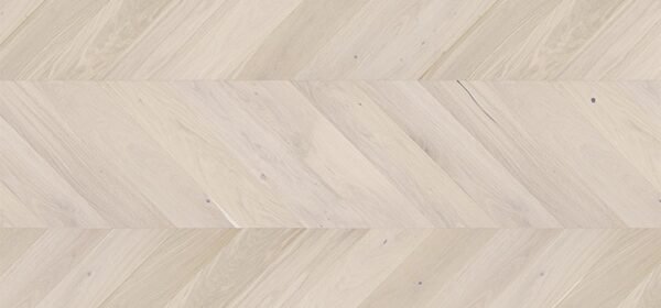 Ąžuolas Trivor Chevron