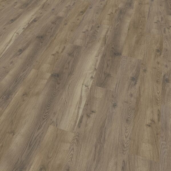 BRAMBER CHESTNUT "ALFORF"