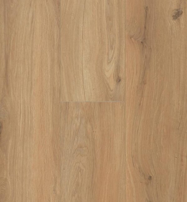 Gyant Warm Natural