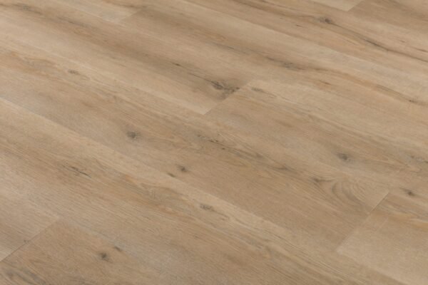 Oak 6830
