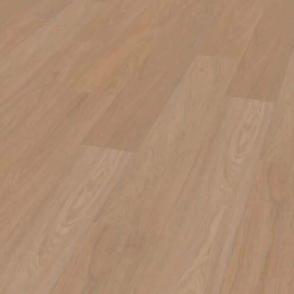 OAK 7870 - Image 3