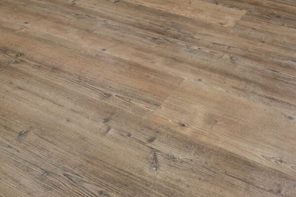 Pine 4205
