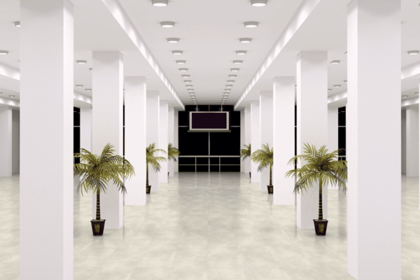 SOLCORA  "OFF WHITE" - Image 2